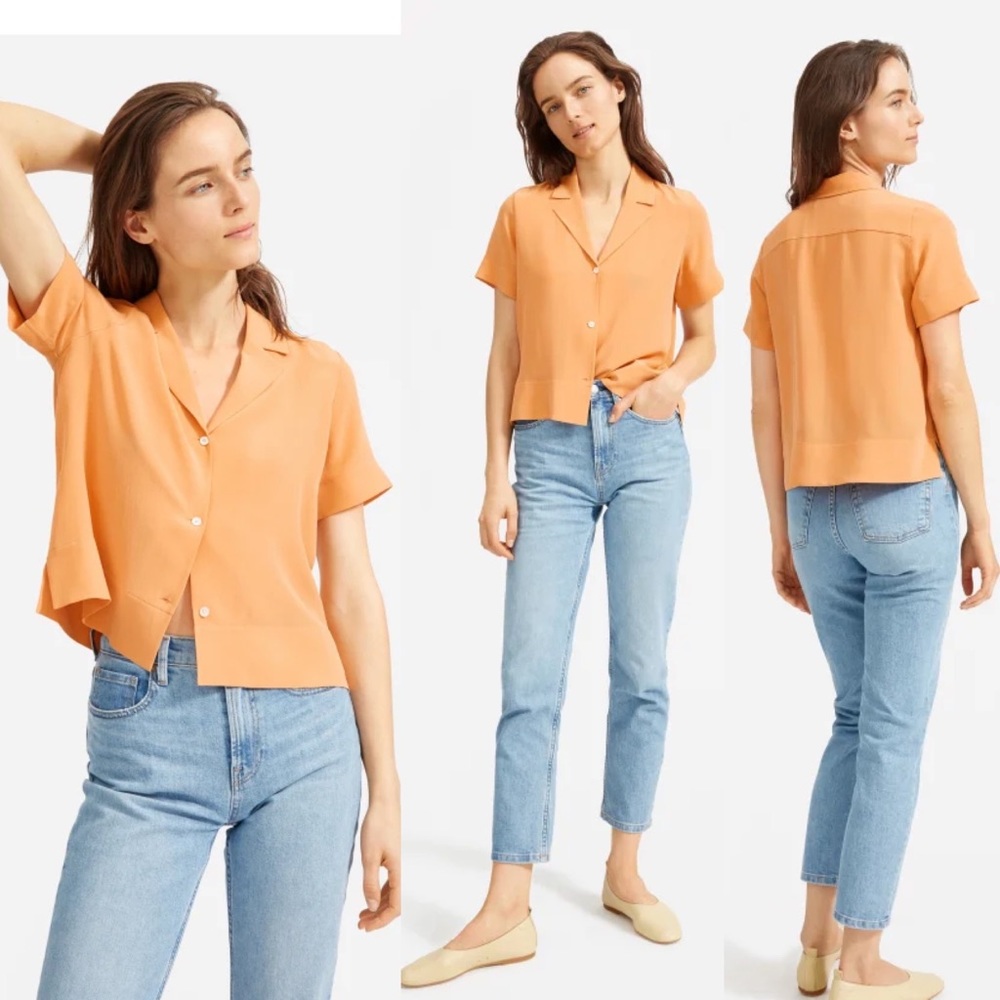 Everlane Clean Silk Short Sleeve Notch shirt, size 8
